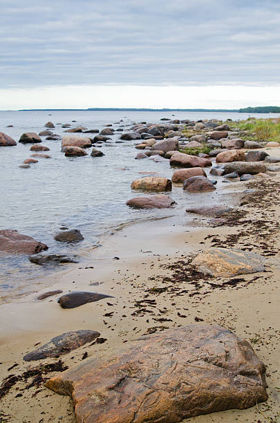 istock Stones on coast of Baltic sea 476219641
