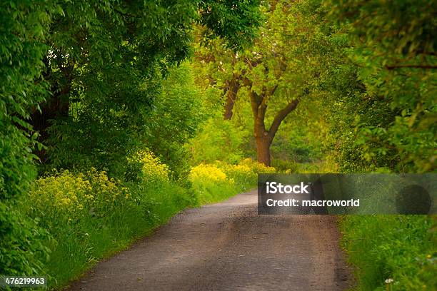 Schotterstrecke Am Baumxxxl Stockfoto und mehr Bilder von Beleuchtet - Beleuchtet, Enge, Natur