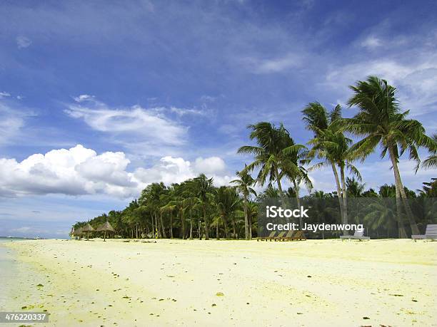 Dłoń Drzewa Na Plaży Edge Bohol - zdjęcia stockowe i więcej obrazów Barwne tło - Barwne tło, Bez ludzi, Bezchmurne niebo