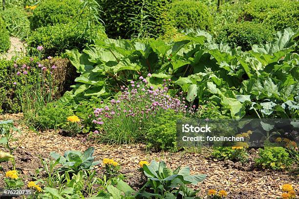 Grande Horta - Fotografias de stock e mais imagens de Jardim de ervas - Jardim de ervas, Cebola, Cebolinho