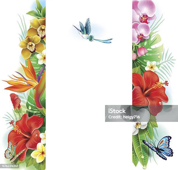 Banner From Tropical Flowers And Leaves Stock Illustration - Download Image Now - Hummingbird, Biology, Botany