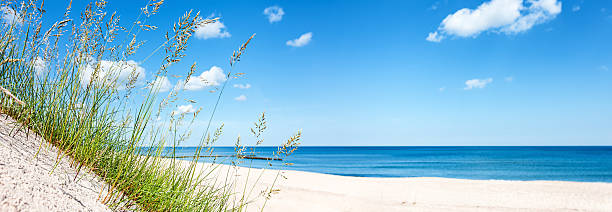 sand dunes panorama - clear sky nobody blade of grass summer fotografías e imágenes de stock