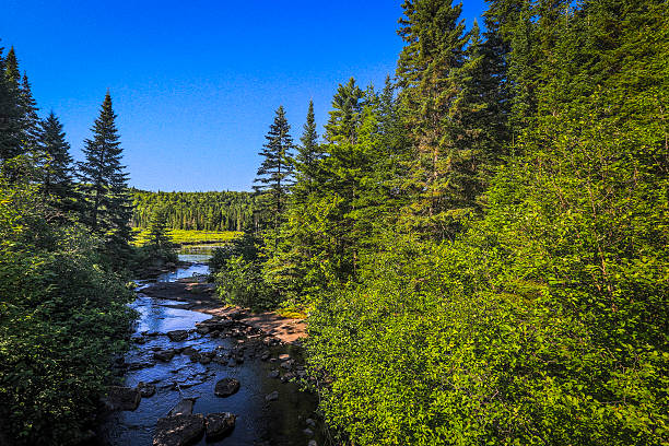 istock La Mauricie National Park 476224413