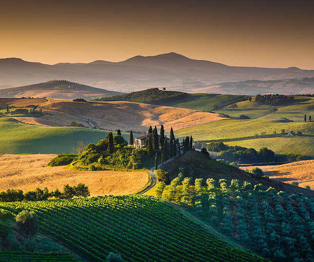 paysage pittoresque de la toscane au lever du soleil, val d'orcia, italie - val dorcia photos et images de collection