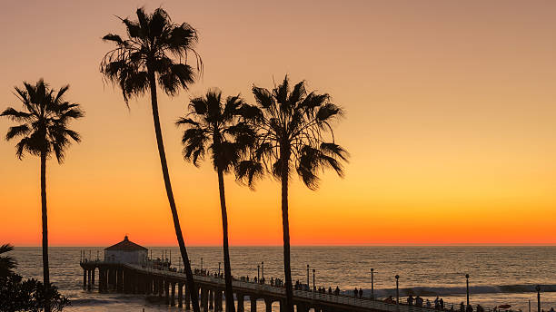istock The Palm trees and Manhattan Beach Pier on sunset 476226032
