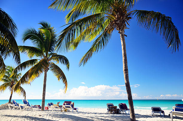 tropical spiaggia - varadero beach foto e immagini stock