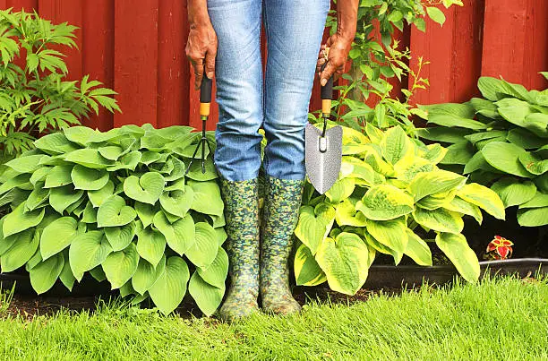 Black woman wearing blue boots getting reading for summer planting season