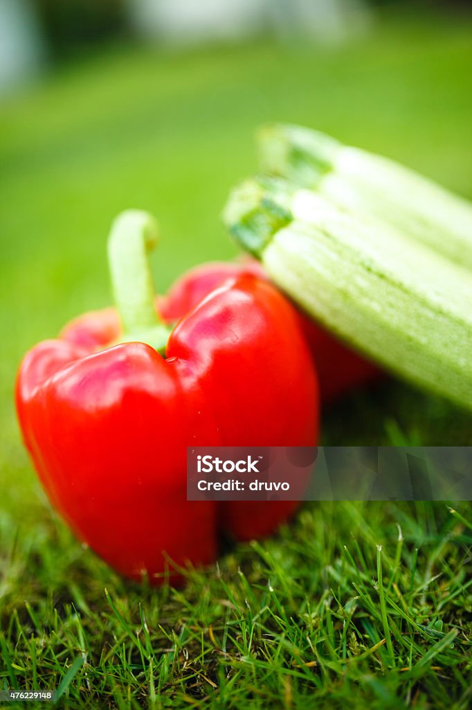 Vegetables Vegetables in a grass 2015 Stock Photo