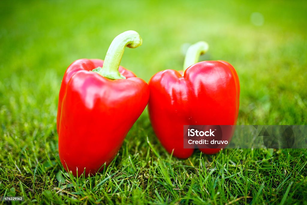 Red Bell Peppers Red Bell Peppers in a grass 2015 Stock Photo