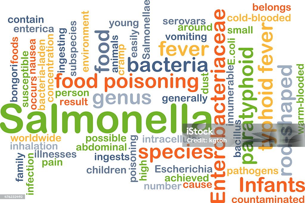 Salmonella background concept Background concept wordcloud illustration of Salmonella Food Stock Photo