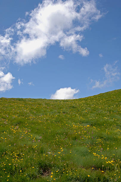 istock Grass green and sunny sky with clouds. Predazzo, Dolomiti, Italy 476232851