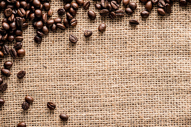 istock Organic coffee crops on burlap sack 476233548