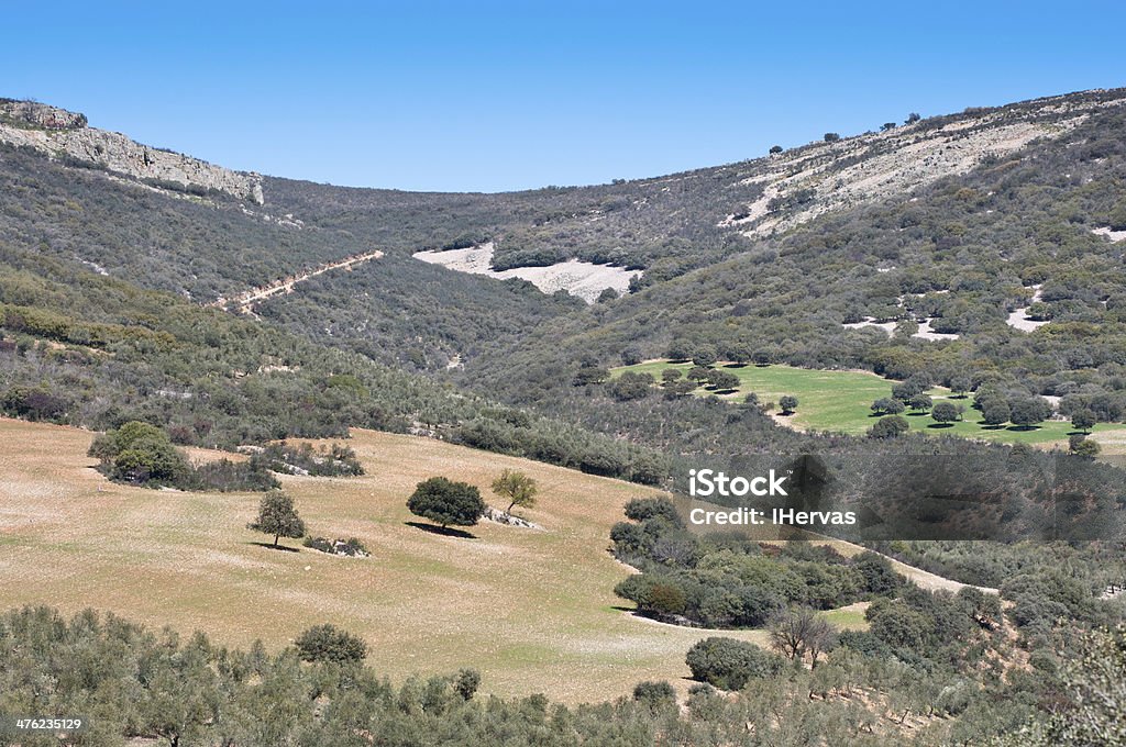 Mediterranean forest Mediterranean forest over quartzite mountains. Photo taken in Montes de Toledo, Ciudad Real Province, Spain. The Montes de Toledo are located in the central regions of the Iberian Peninsula, cutting transversally from east to west across the lower portion of the Meseta Central Agricultural Field Stock Photo