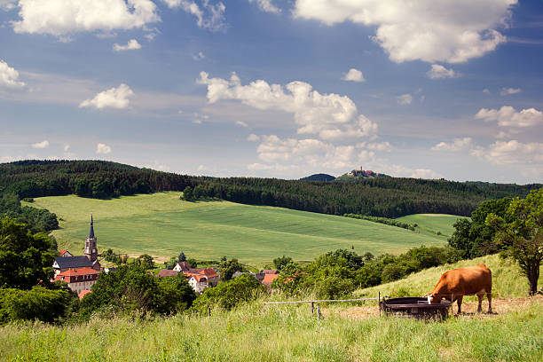 paesaggio turingia con mucca - jena foto e immagini stock