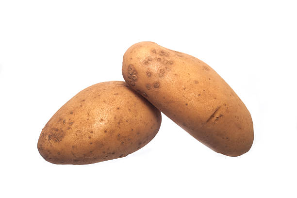 istock Fresh Potato isolated on the white 476238866