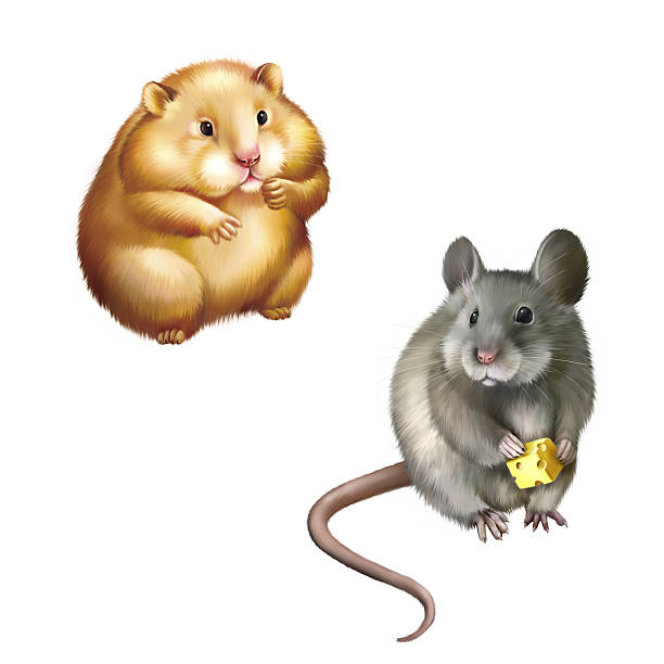 可愛らしいグレイのマウスハムスターリング型、赤色 - mouse gerbil standing hamster ストックフォトと画像