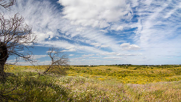 istock Algarve countryside hills with yellow bushes 476240845