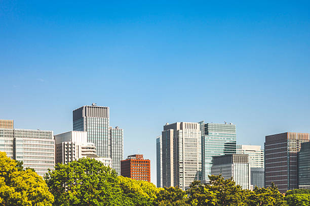 Downtown buildings behind trees. Downtown buildings behind trees. 2015 stock pictures, royalty-free photos & images