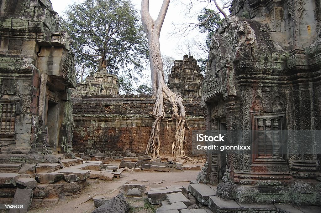 Ta Prohm temple ruins, Angkor Huge tree roots among the ruins of Ta Prohm temple, in the Angkor complex. Ancient Stock Photo