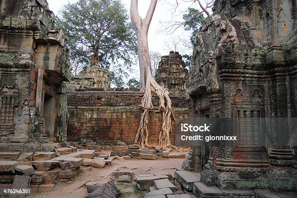 Ta Prohm Temple Ruins Angkor Stock Photo - Download Image Now - Ancient, Angkor, Architecture