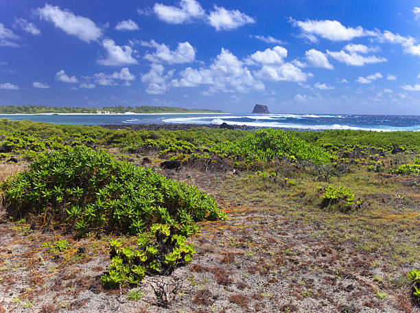 istock Mauritius, landscape of the island 476248108