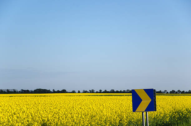 istock Arrow at yellow field 476251296