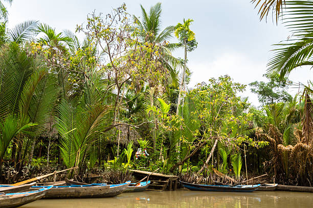 Vietnamese Rainforest and Mekong Delta: