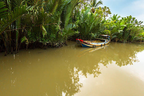 istock Mekong Delta in Ben Tre 476251550