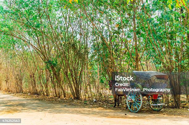 말 수레 올드 바간 미얀마에 고요한 장면에 대한 스톡 사진 및 기타 이미지 - 고요한 장면, 고풍스런, 관광