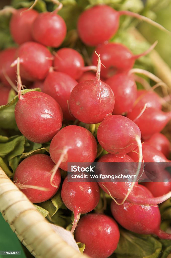 Roten Rettich - Lizenzfrei Fotografie Stock-Foto