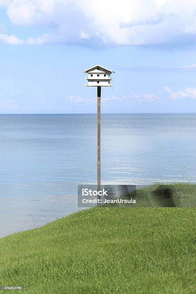 Lago Birdhouse - Foto de stock de Lago royalty-free