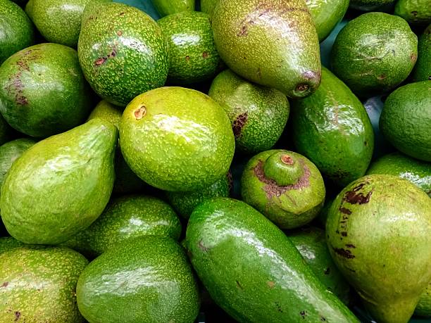 istock Avocados in supermarket 476255756