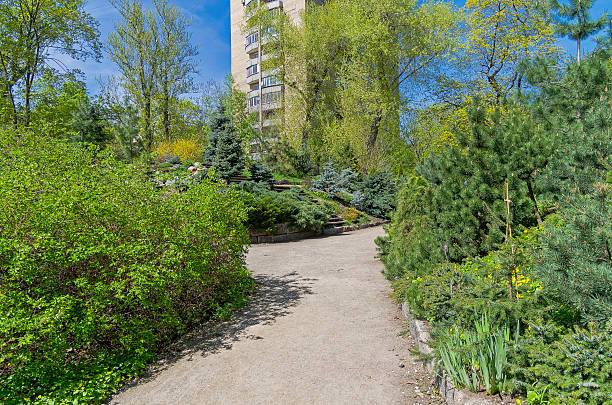 istock Conifer trees in a botanical garden. 476258252