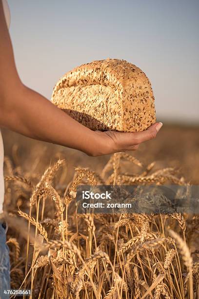 Pão - Fotografias de stock e mais imagens de Adulto - Adulto, Alimentação Saudável, Alimento Básico