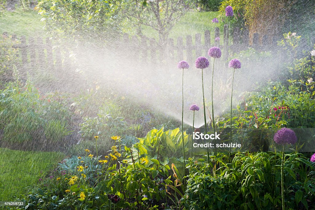 Gießen Blumenbeeten - Lizenzfrei Bewässerungsanlage Stock-Foto