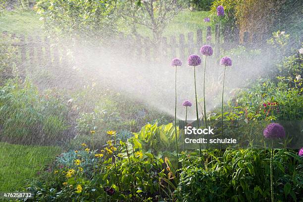 Gießen Blumenbeeten Stockfoto und mehr Bilder von Bewässerungsanlage - Bewässerungsanlage, Hausgarten, Gartenanlage