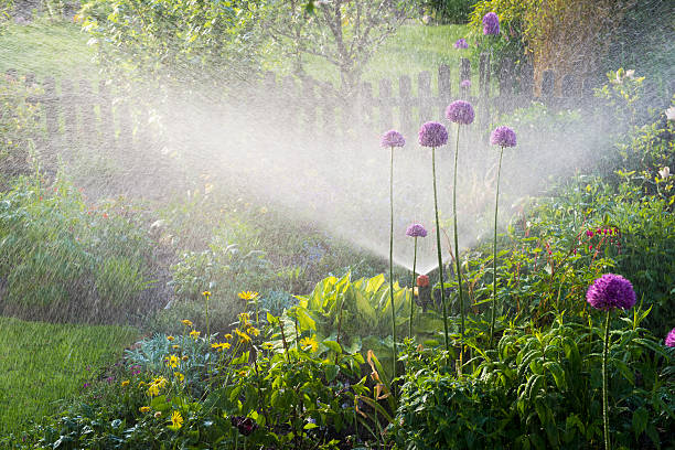 Watering flowerbeds stock photo