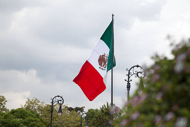 Mexican Flag in a park stock photo