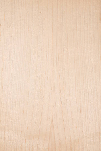 holz textur-american harten maple - wood birch wood grain textured stock-fotos und bilder