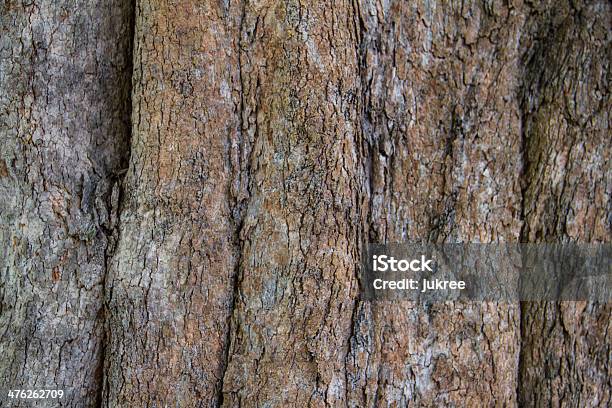 Irvingia Malayana Tree Bark От — стоковые фотографии и другие картинки Абстрактный - Абстрактный, Ажурный, Амбар