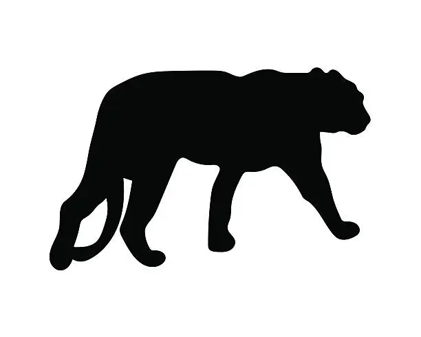Vector illustration of black silhouette of tiger