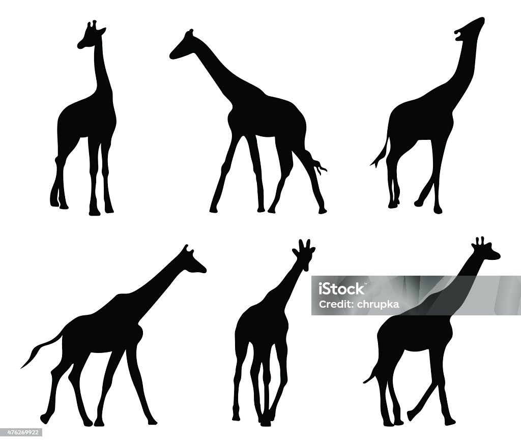 Ensemble de différentes silhouettes noires des girafes - clipart vectoriel de Girafe libre de droits