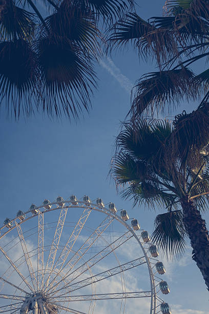 istock ferris wheel and palm trees at sunset. 476270606