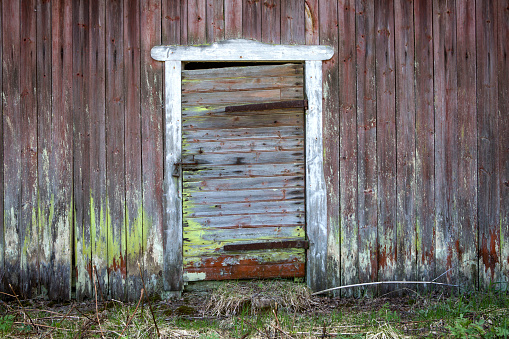 moldy barn wall with rusty door