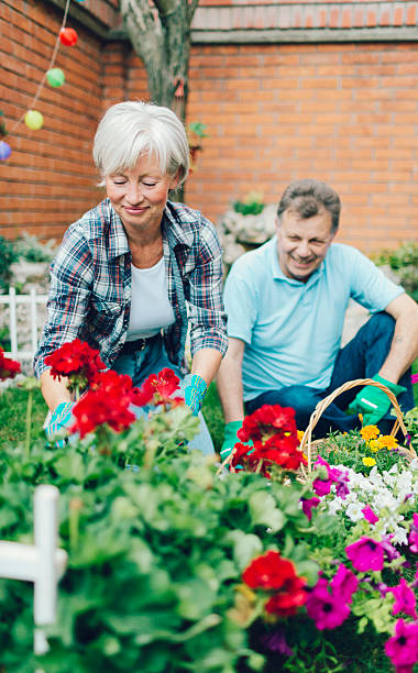 istock Senior Couple Gardening Together. 476278980