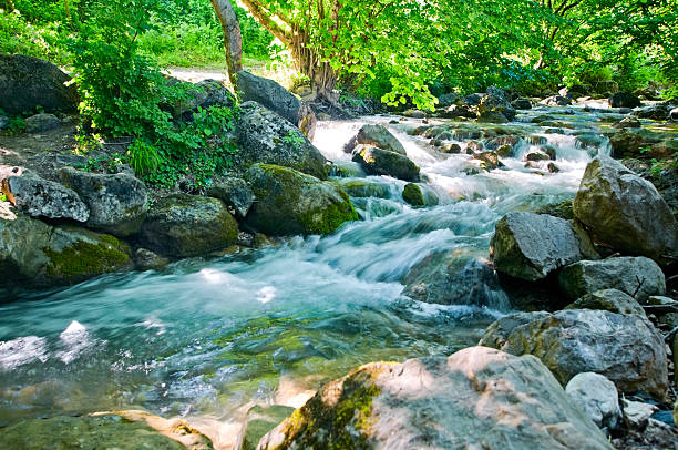 mountain river stock photo