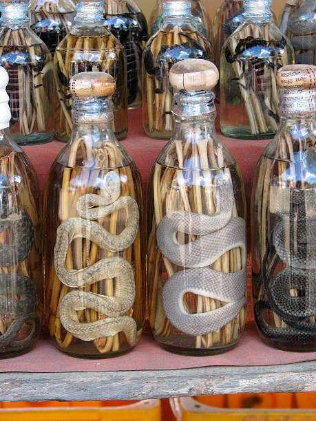 Snake Wine Stock Photo - Download Image Now - Adulation, Alcohol