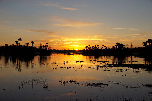 istock Beautiful Orlando Sunrise 476282539