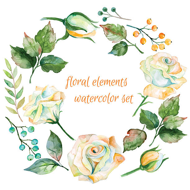 Set of different white flowers. berries and leaves for design. Set of different white flowers. berries and leaves for design. Watercolor roses and leaves . Set of floral elements for your compositions. drawing of a green lisianthus stock illustrations