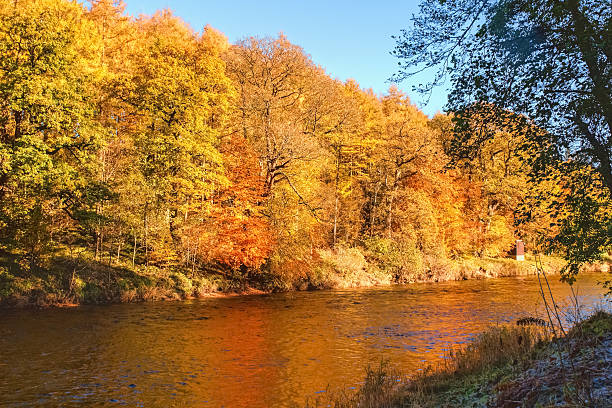 Autumn colours, riverside walk, November 2013 stock photo